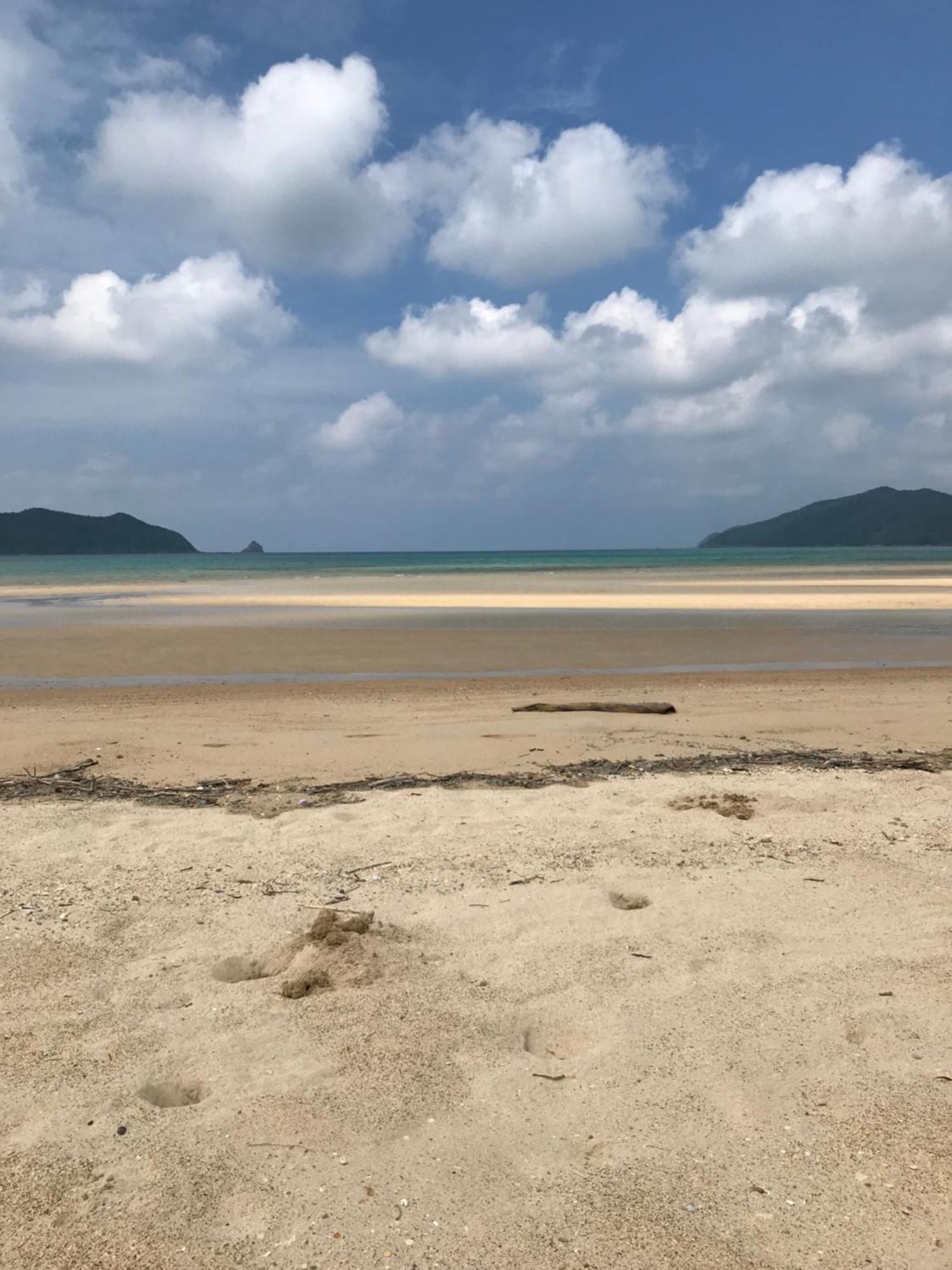 檸檬草ー奄美の自然の香る宿ー Quần đảo Quần đảo Amami Ngoại thất bức ảnh